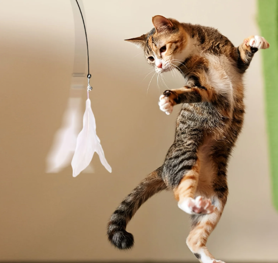 AlchemyPaw™ Interactive Cat Teaser Toy – Suction Cup Feather Wand for Endless Play