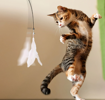 AlchemyPaw™ Interactive Cat Teaser Toy – Suction Cup Feather Wand for Endless Play